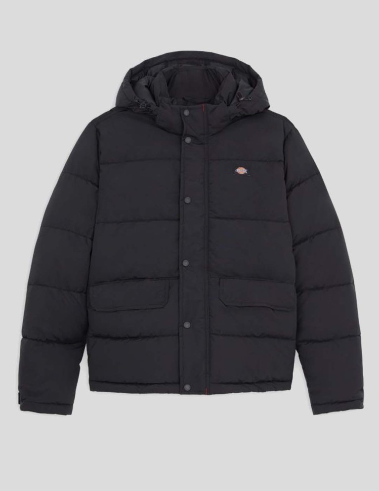 Caçador DICKIES glacier view puffer black